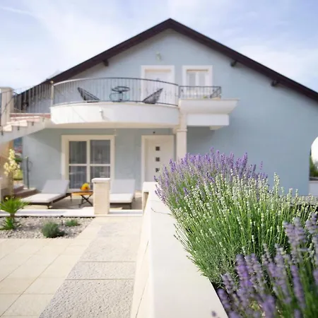 Kovac 2 Τρέμπινιε