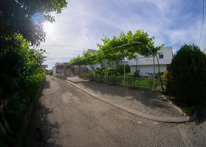 Kovac 2 * 特雷比涅